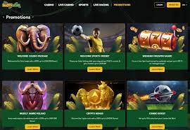 SlotsSafari Casino A Comprehensive Guide to Online Gambling Adventure.txt